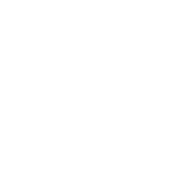 Picto STRUCTURER POUR RÉUSSIR