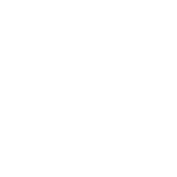 Picto SÉCURISER VOTRE DOSSIER